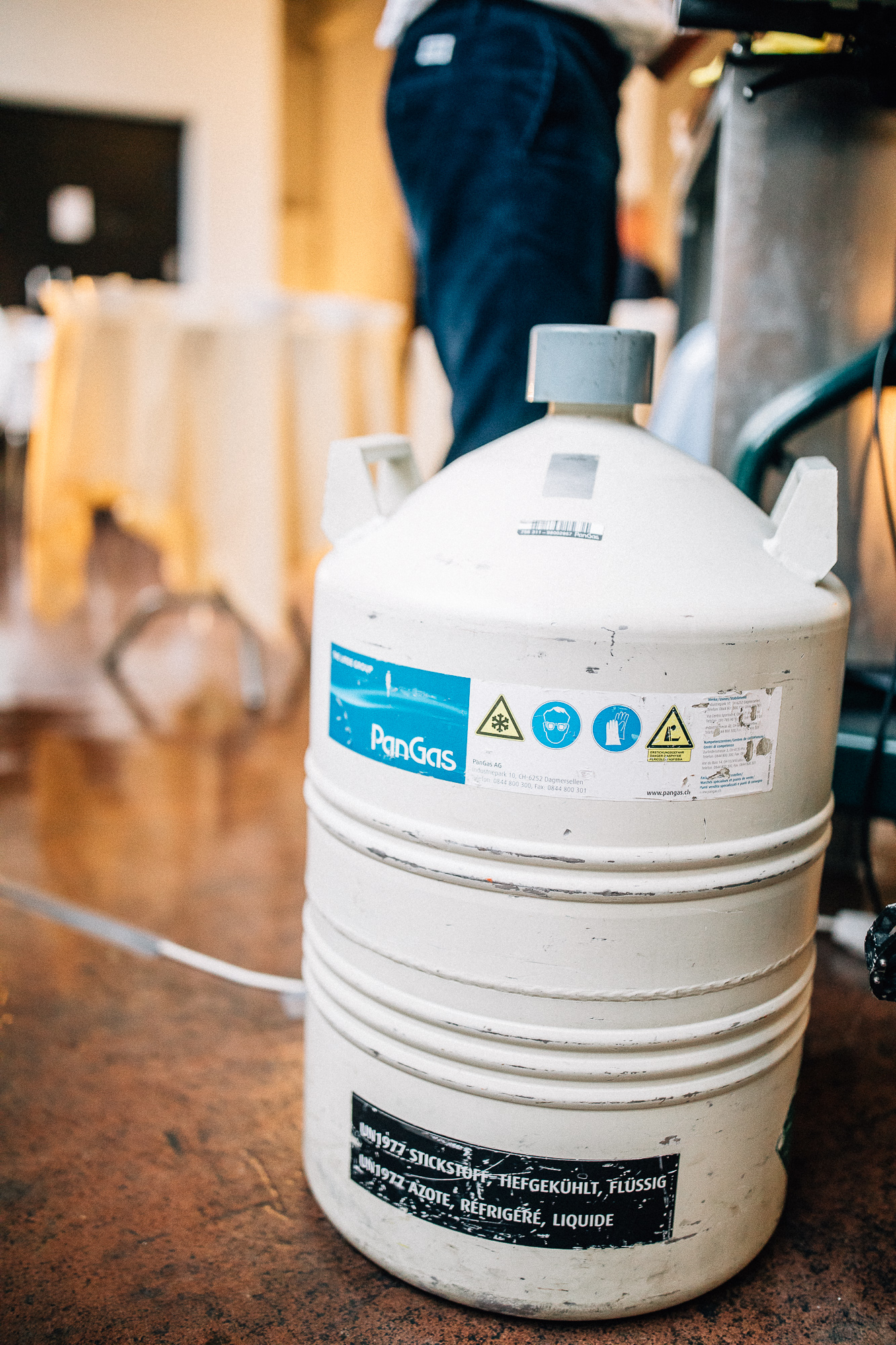 Export x3 5D4 7901 Businessauftrag 0012 2019 RohmbergBau