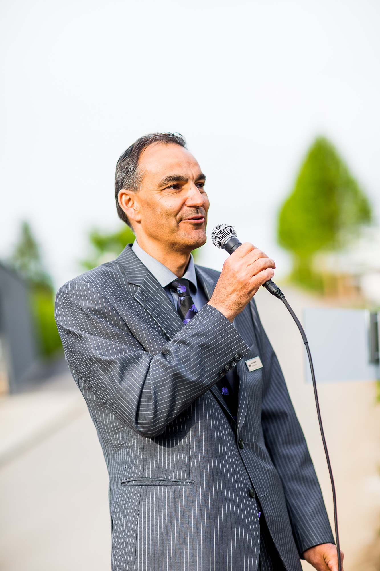 Export x3  DX 3815  accepted pictures