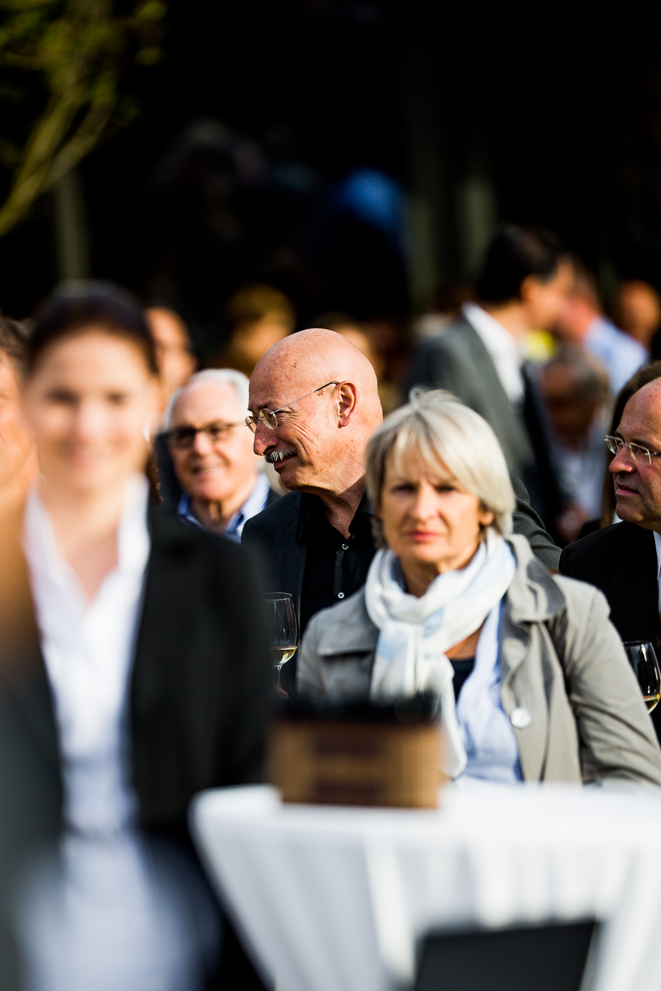 Export x3  DX 3919  accepted pictures