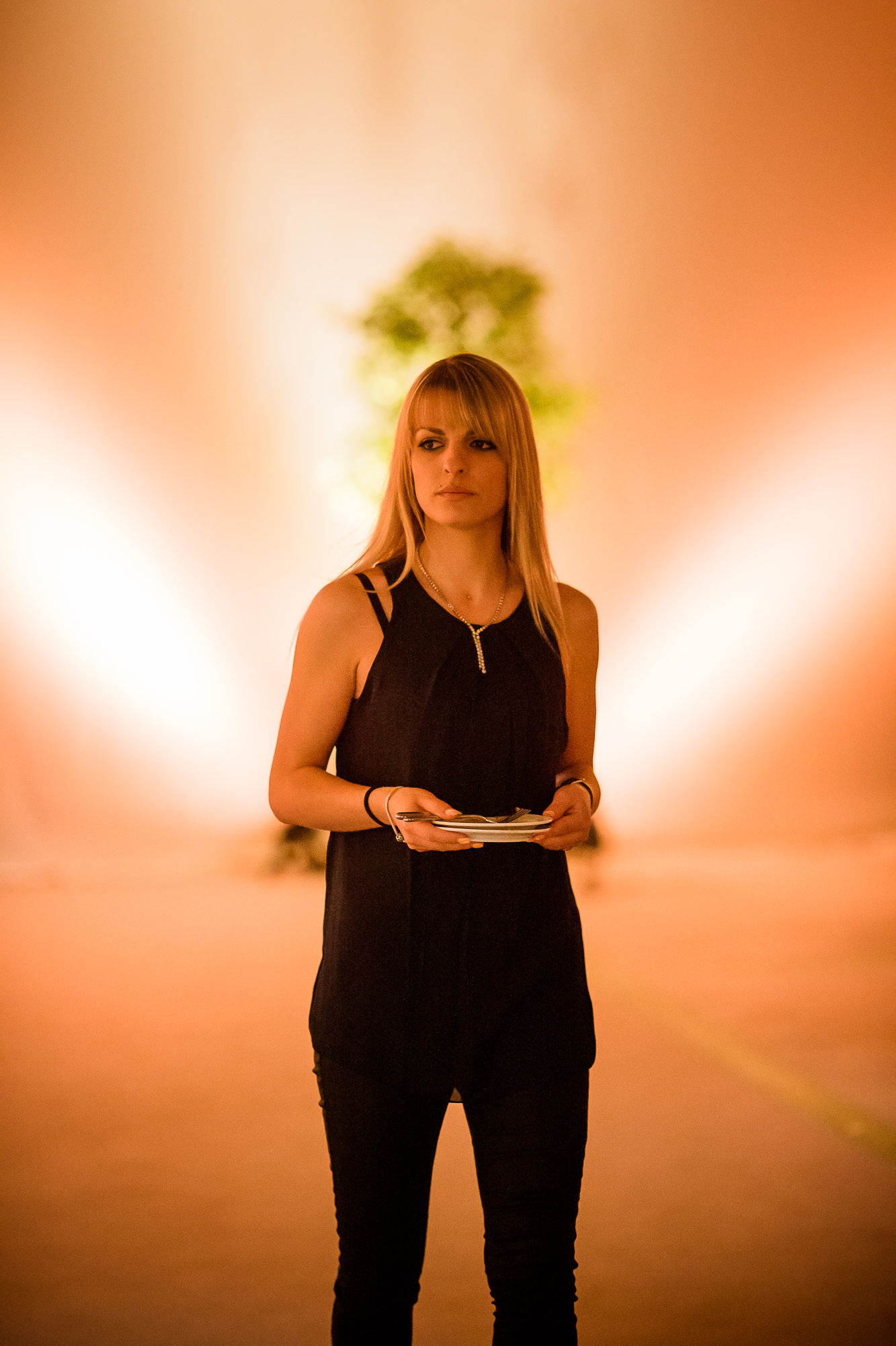 Export x3  DX 4365  accepted pictures