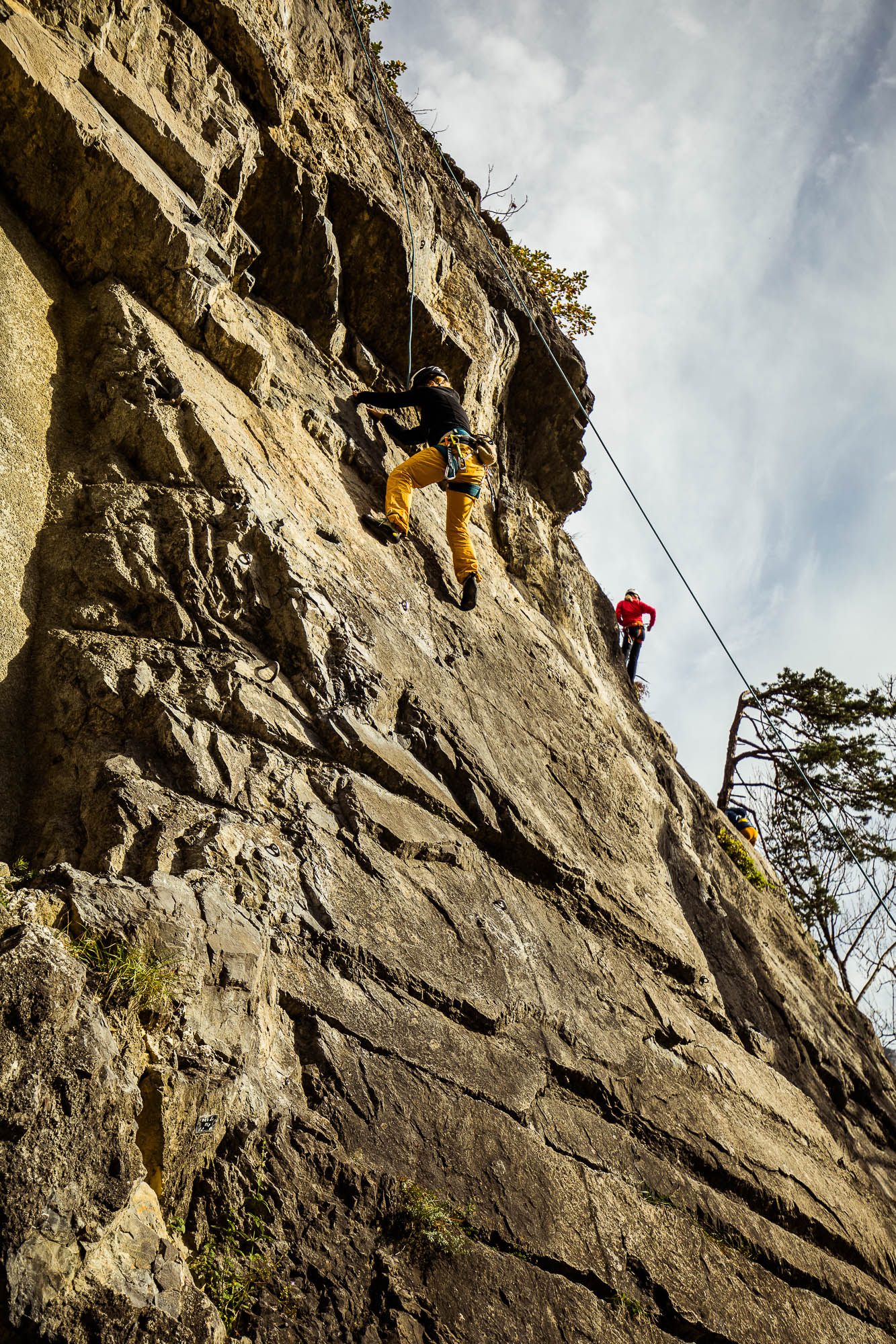 Export x3 5D4 9254 Climbing