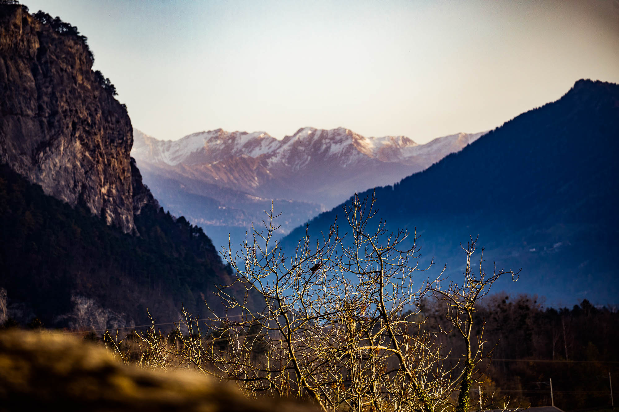 Export x3 5D4 9339 Climbing