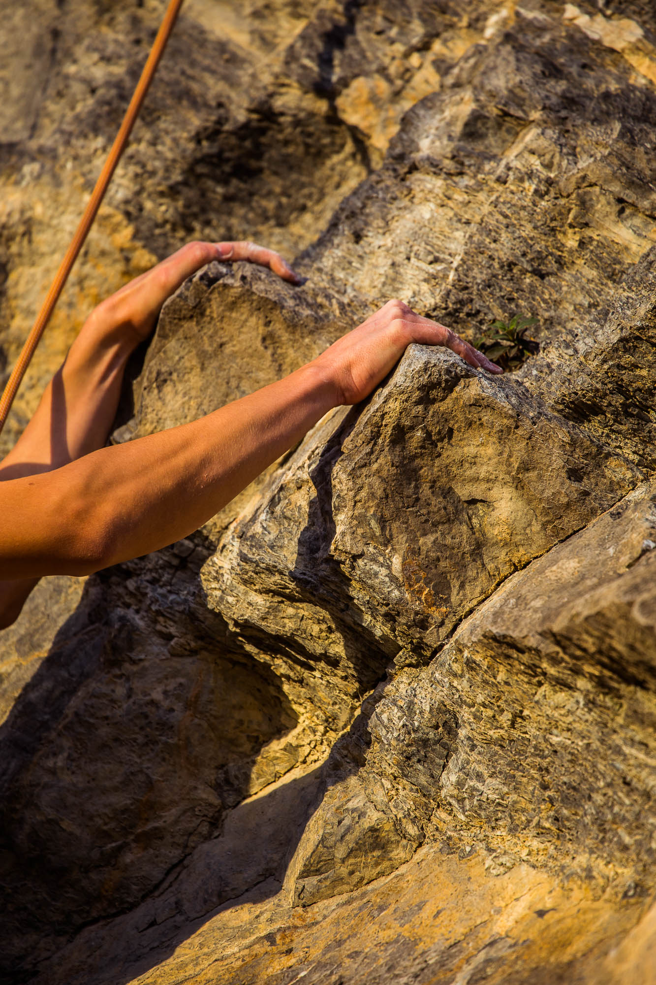 Export x3 5D4 9350 Climbing