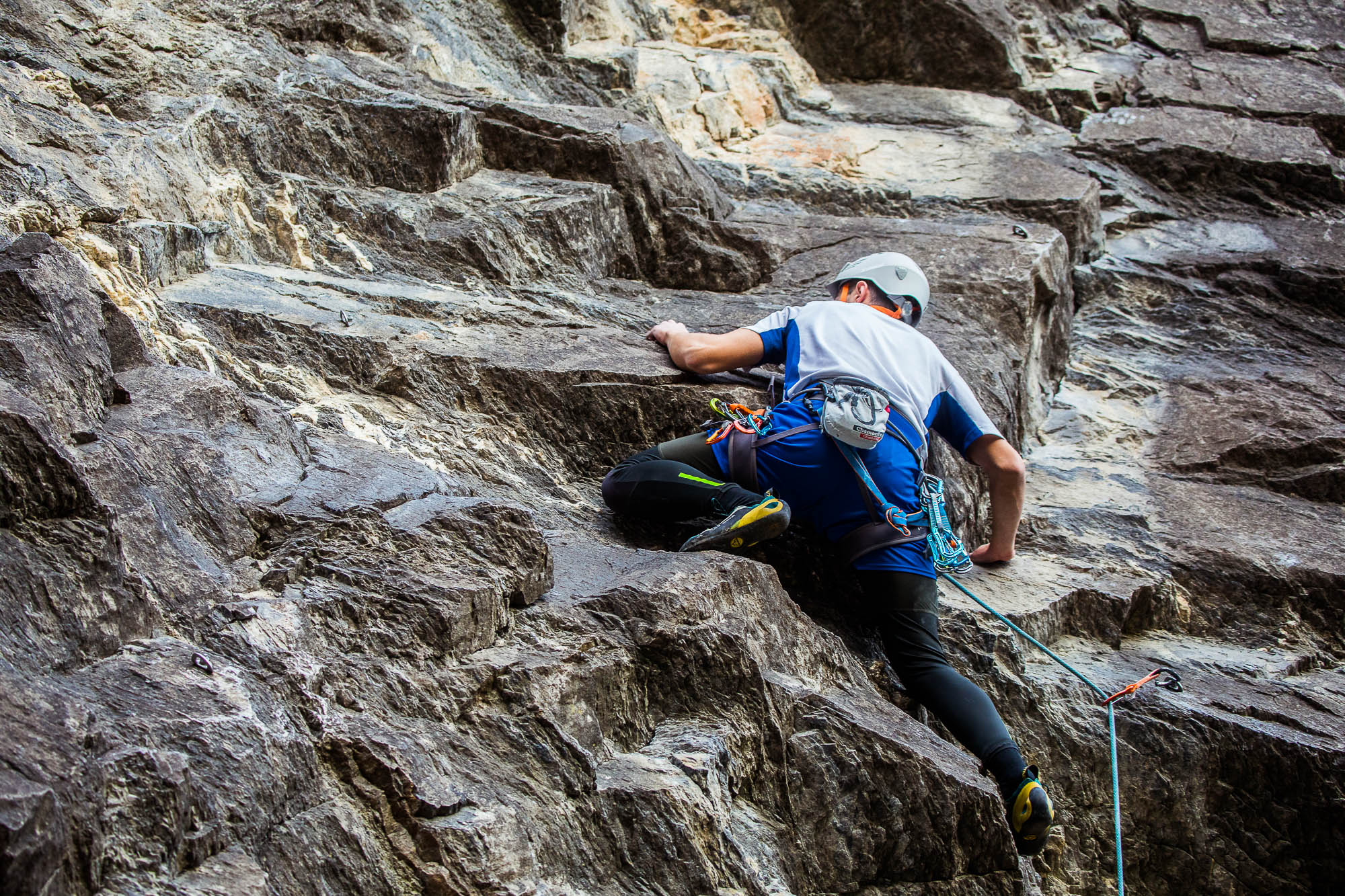 Export x3 5D4 9430 Climbing