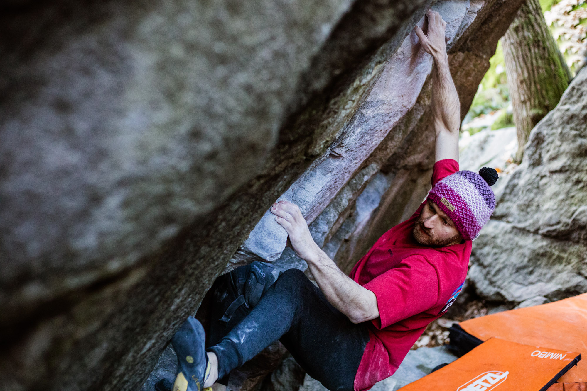 Giani Clement - Salamandre - Brione