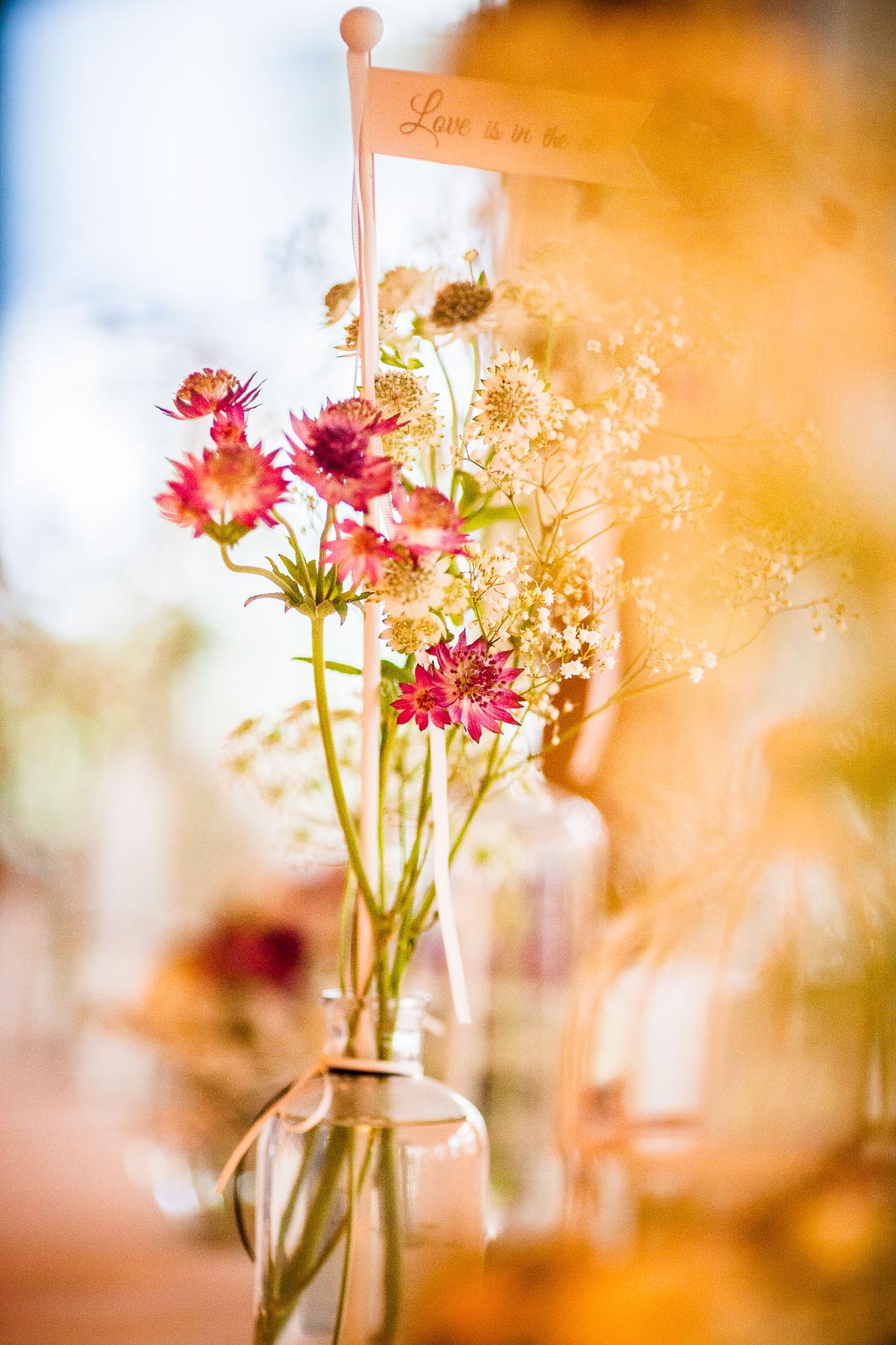 Isabelle und Renato 1287