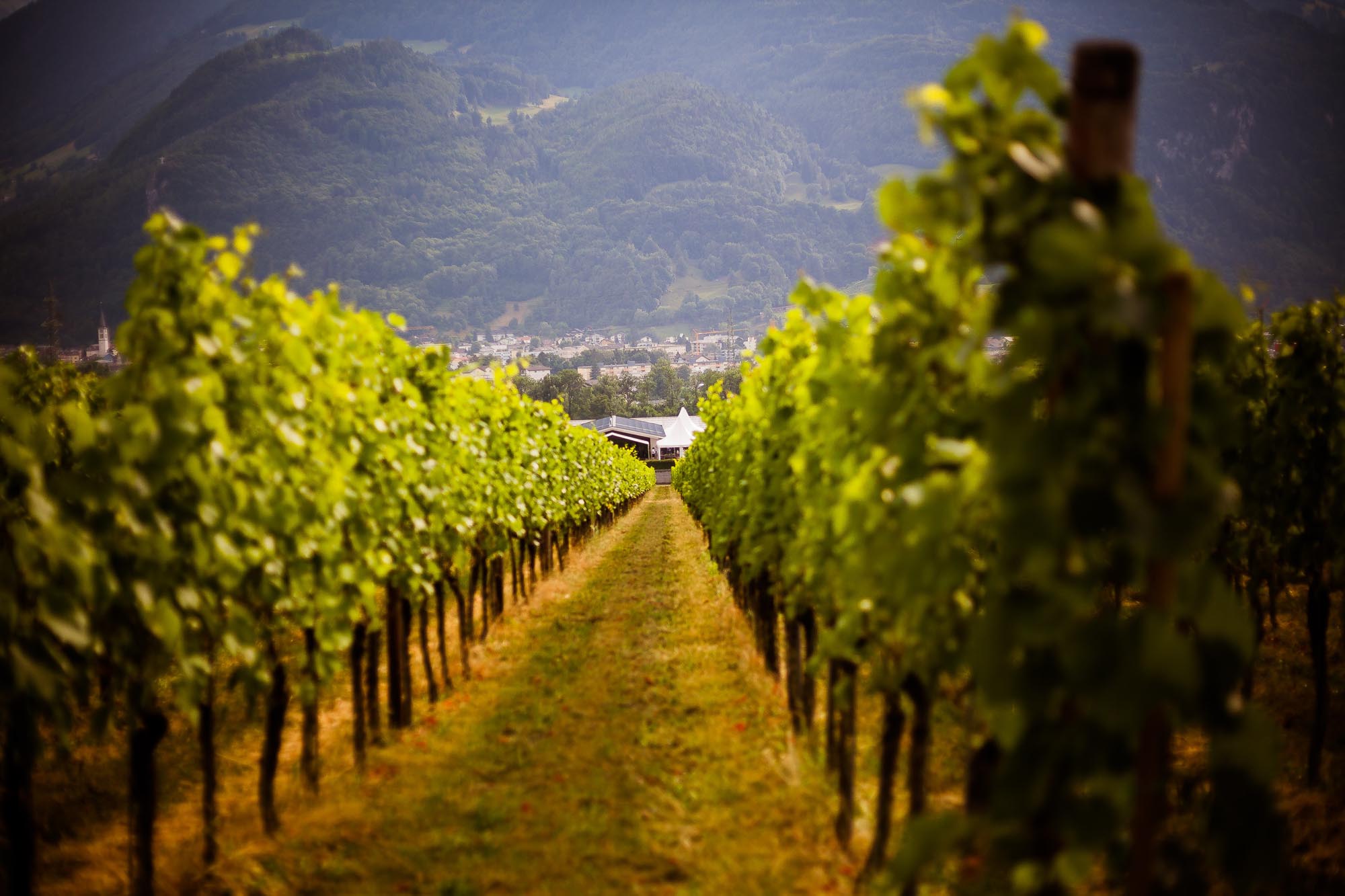 Isabelle und Renato 1374