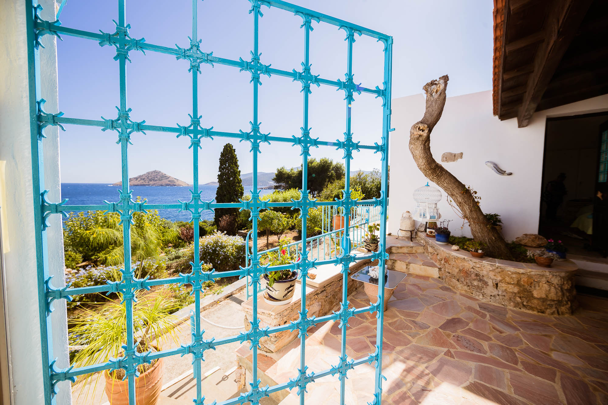 Export x3 1DX22380 Reportage