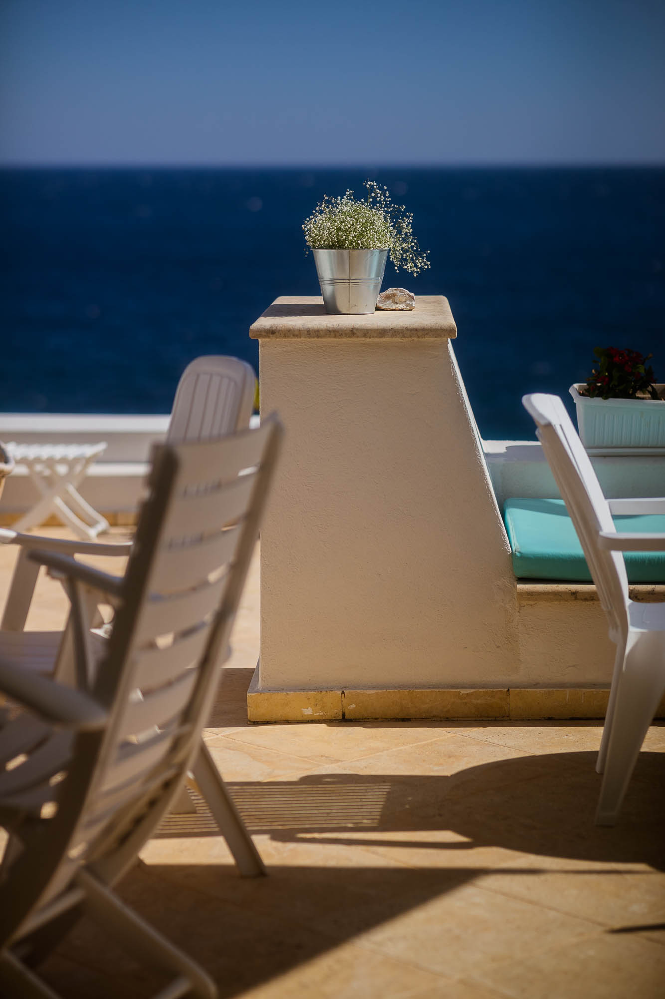 Export x3 1DX22400 Reportage