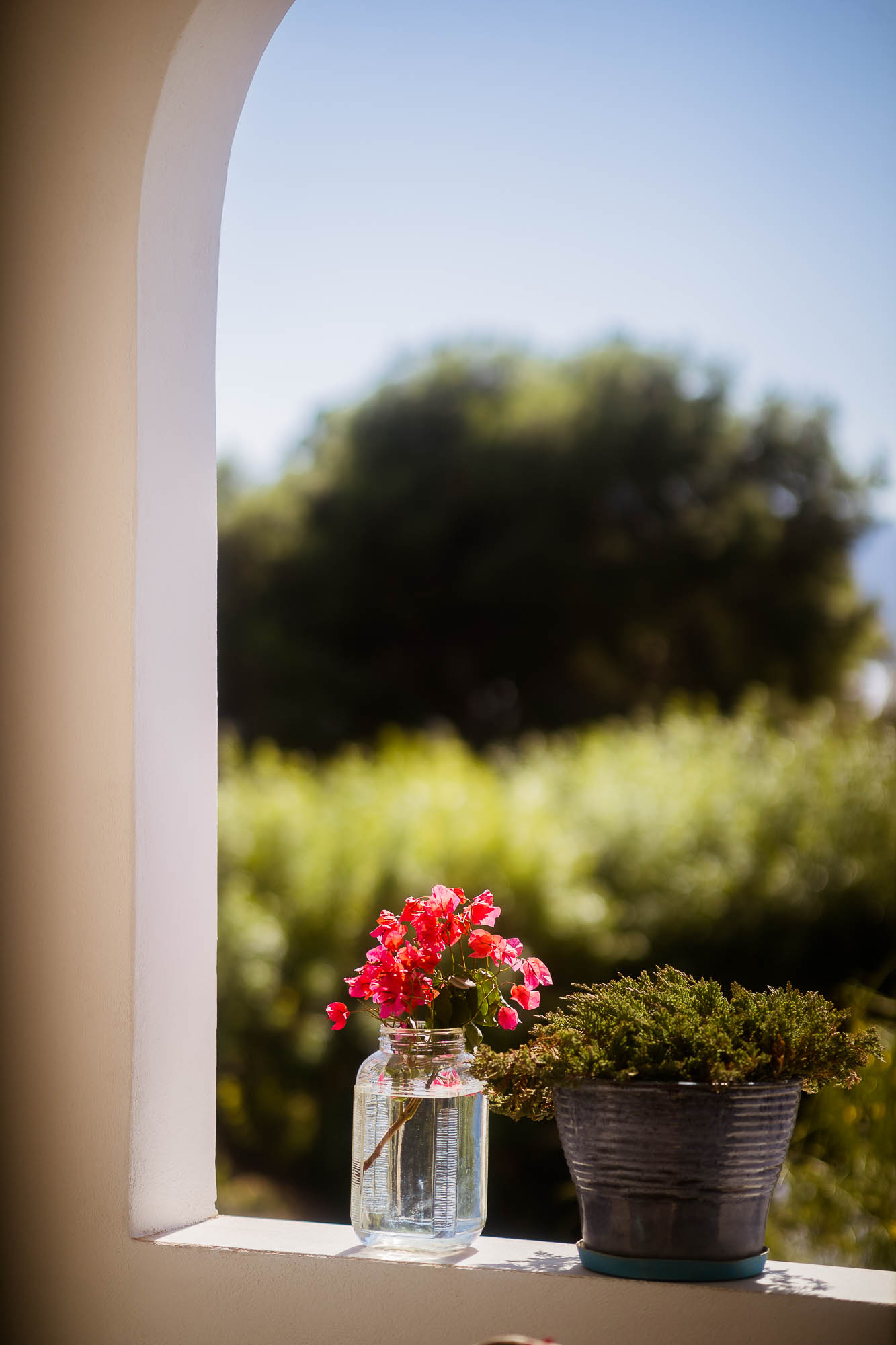 Export x3 1DX22401 Reportage