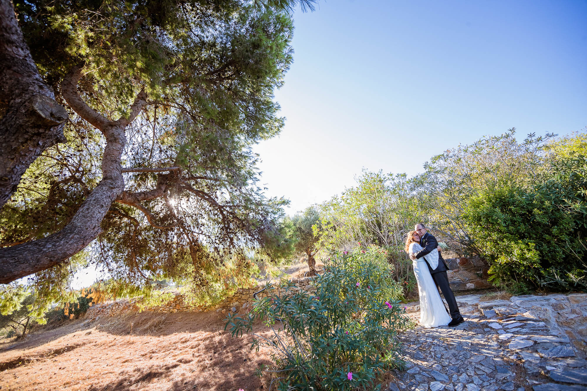 Export x3 1DX23311 Reportage