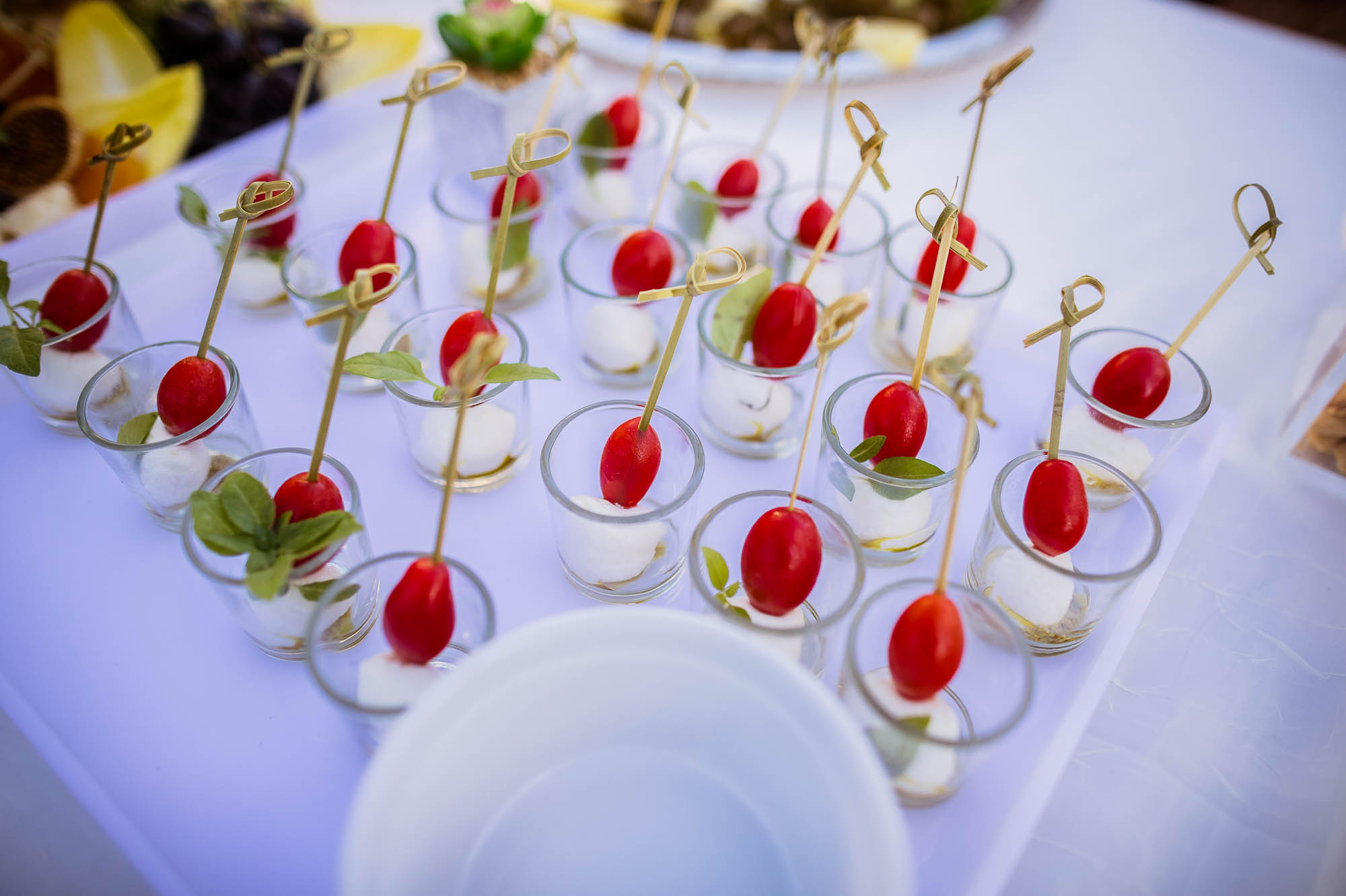 Export x3 1DX23807 Reportage