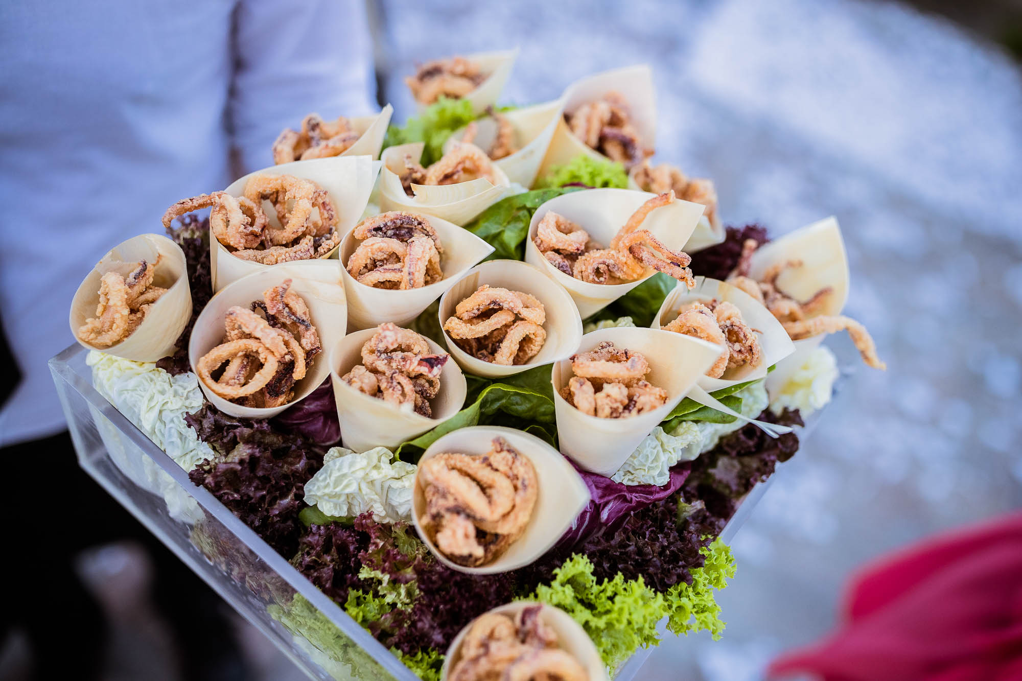 Export x3 1DX24285 Reportage