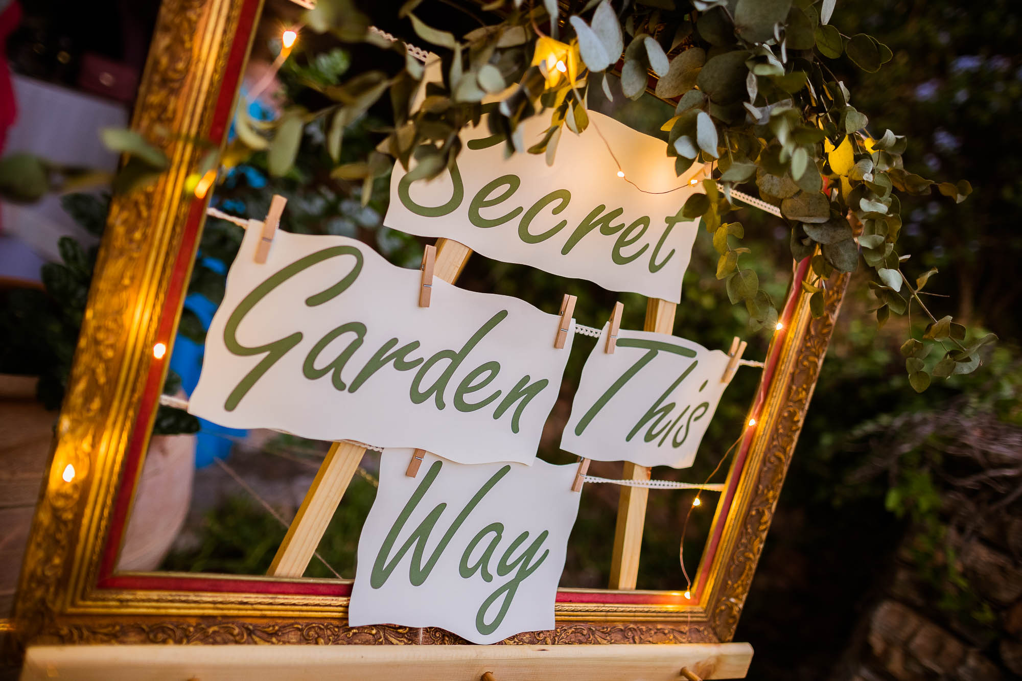 Export x3 1DX24431 Reportage