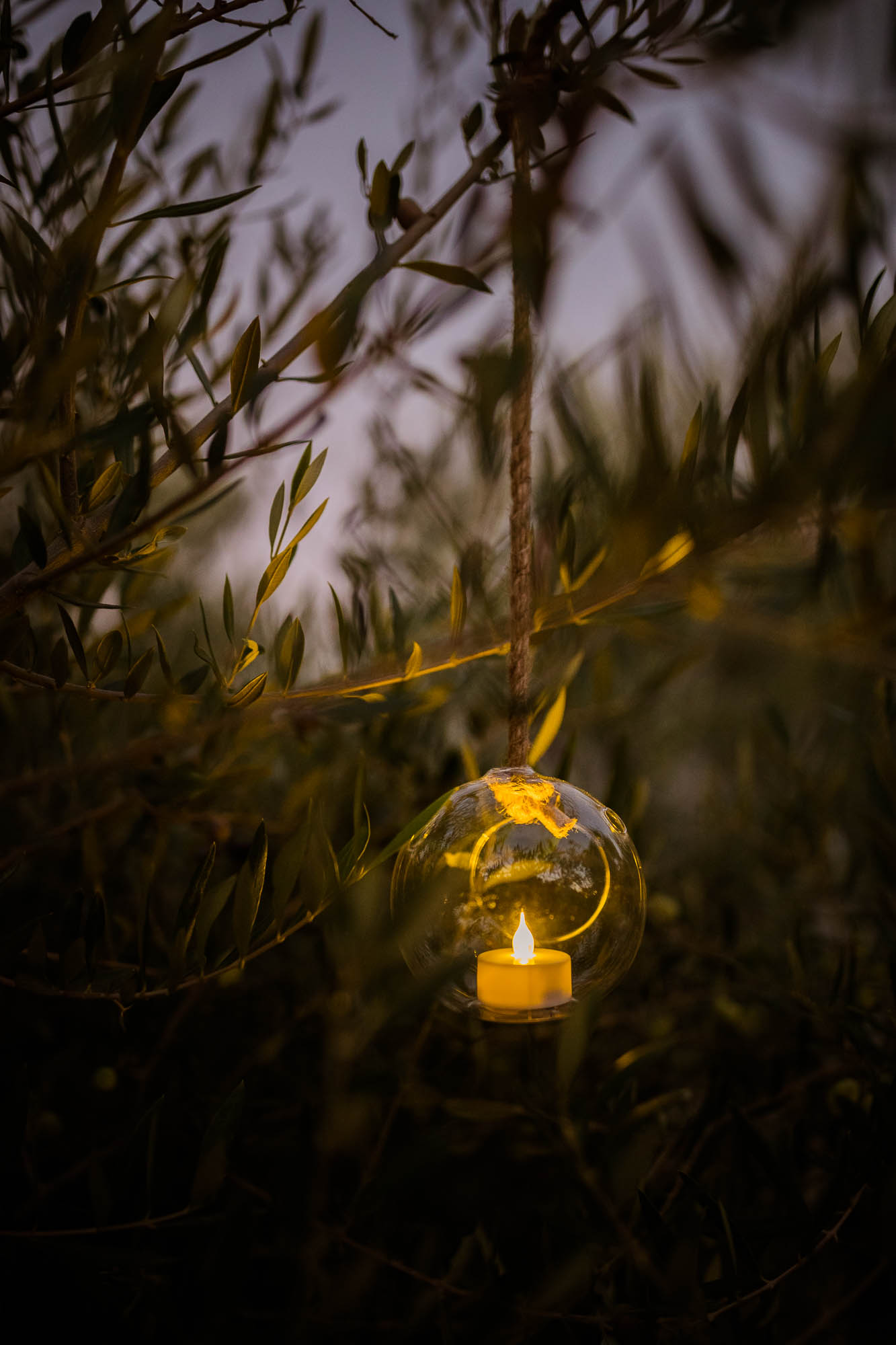 Export x3 1DX24480 Reportage