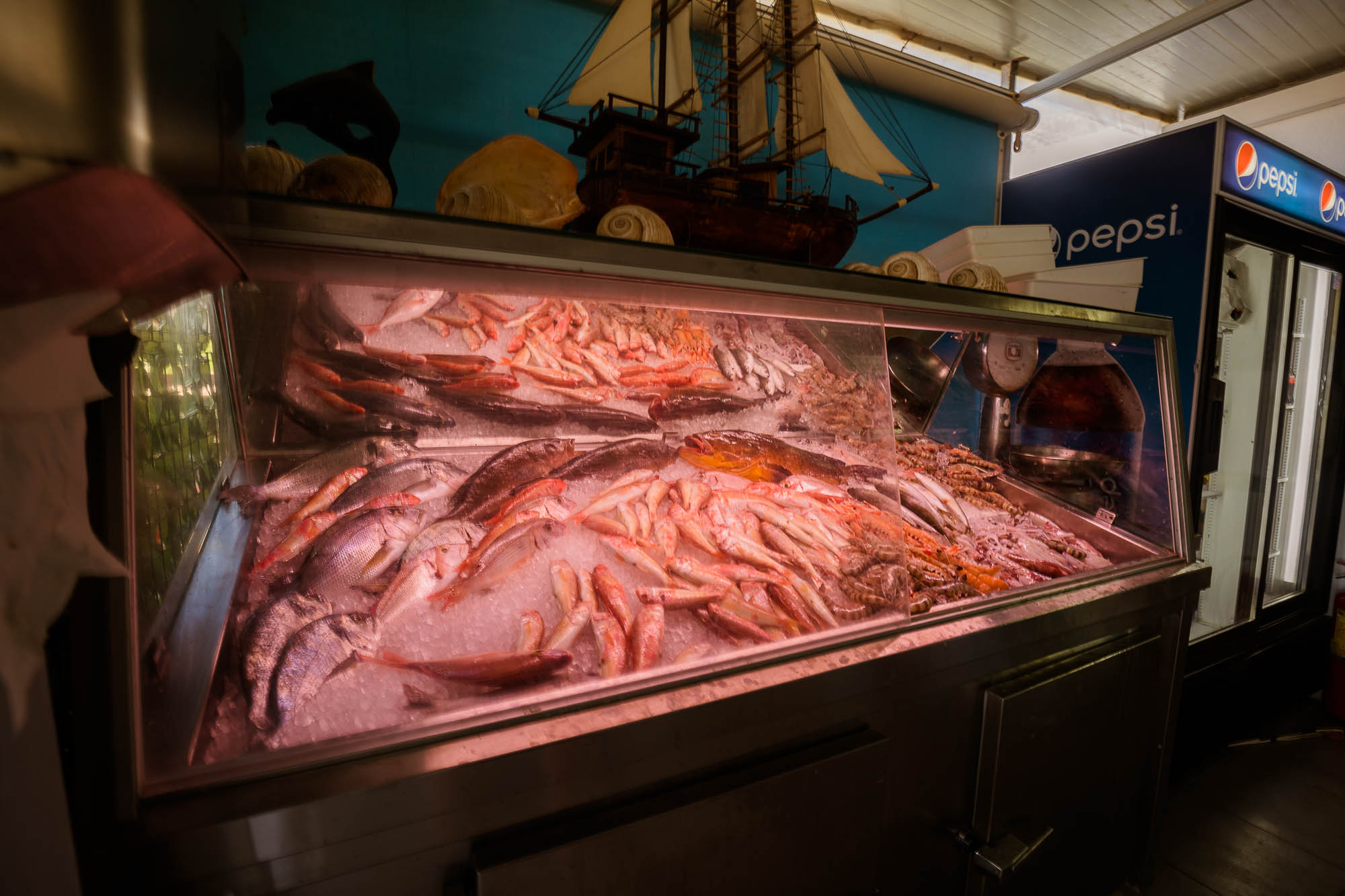 Export x3 5D4 8290 Reportage