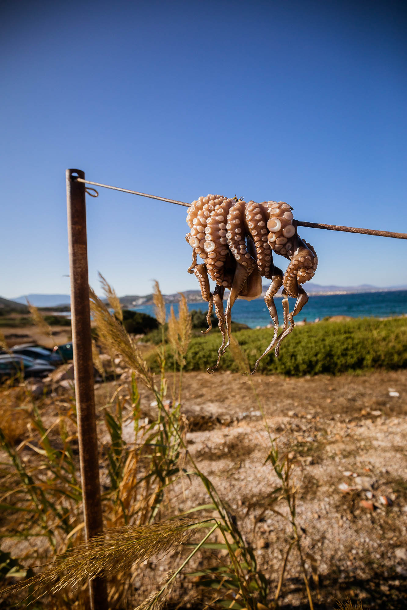 Export x3 5D4 8293 Reportage