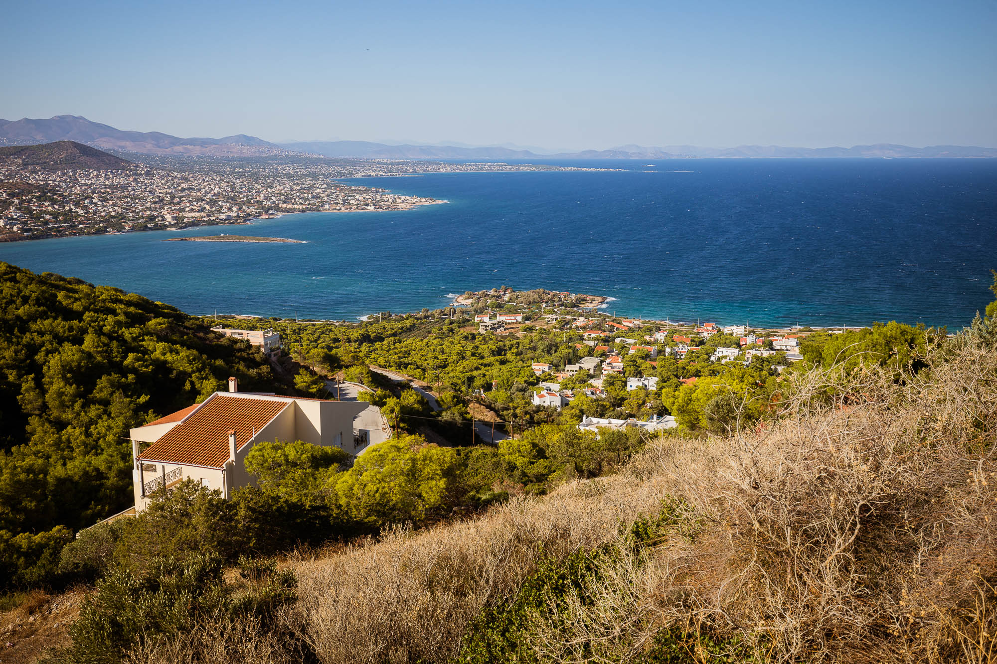 Export x3 5D4 8314 Reportage