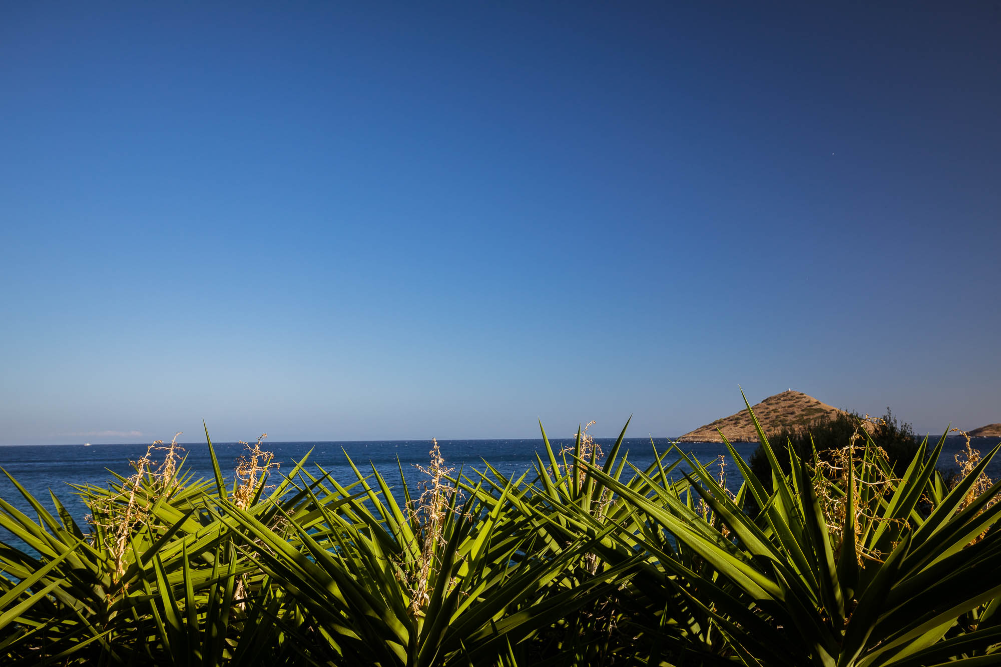 Export x3 5D4 8345 Reportage