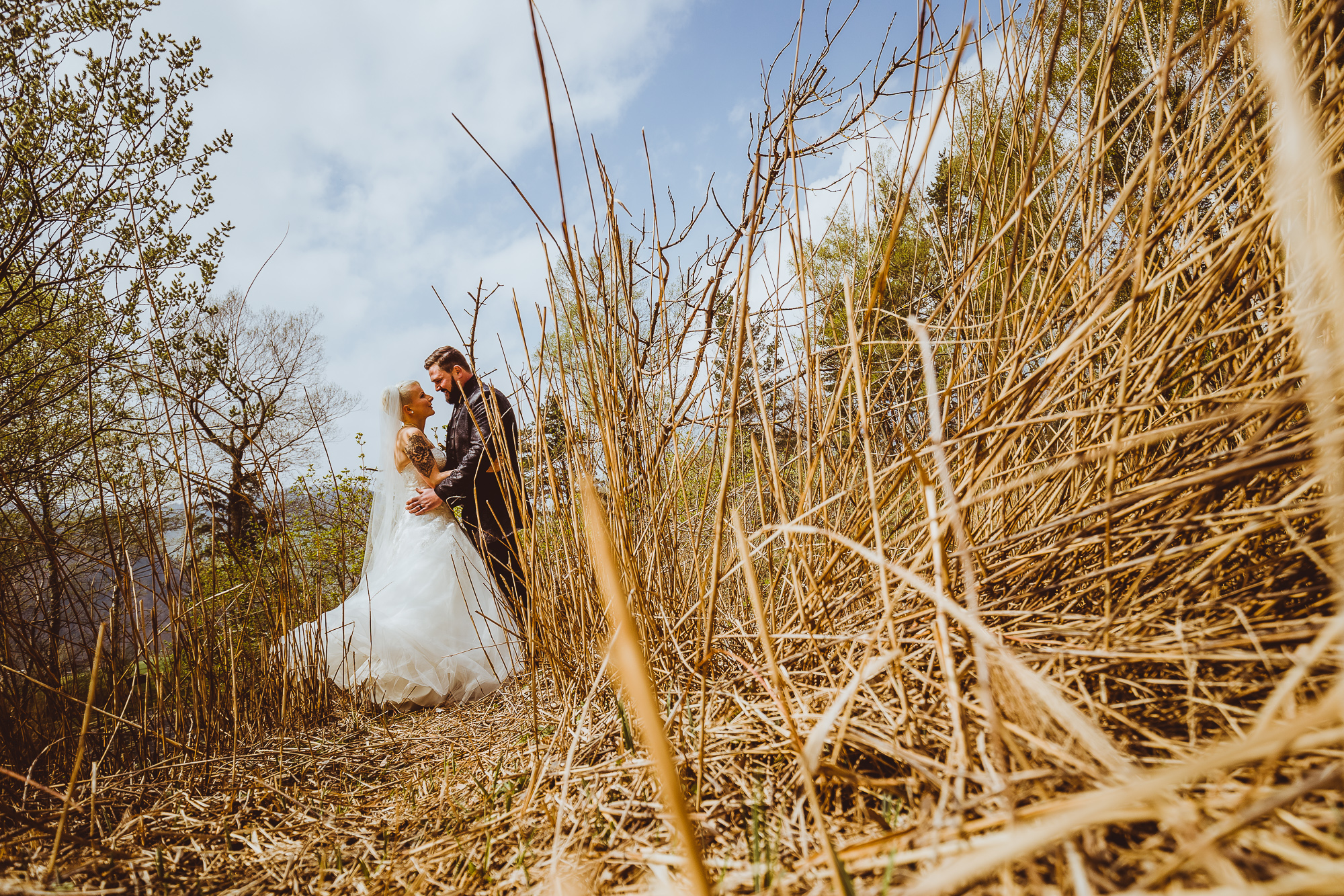 Export x3 1DX23544 Reportage