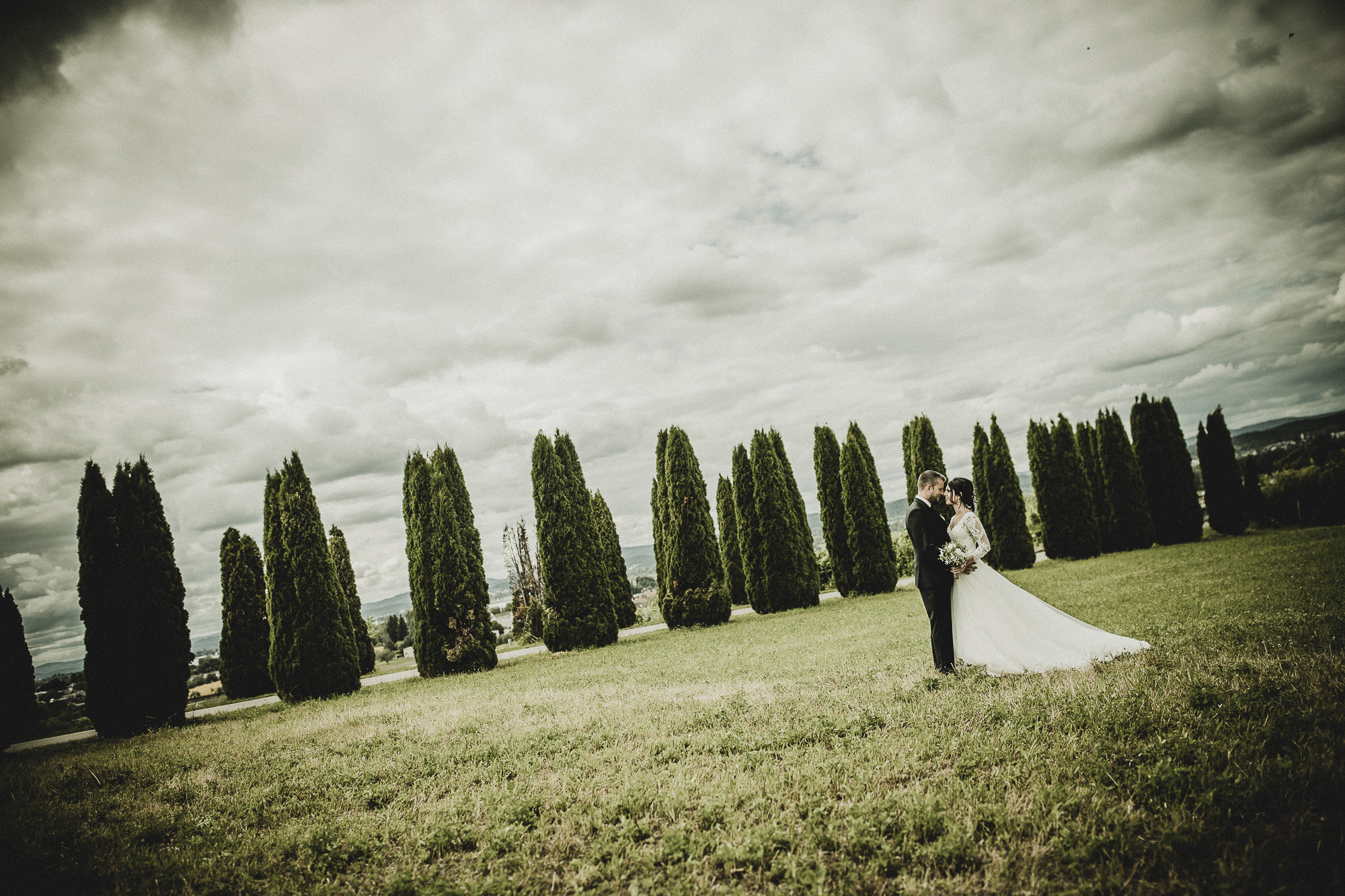 Export x3 1DX24554 Foto