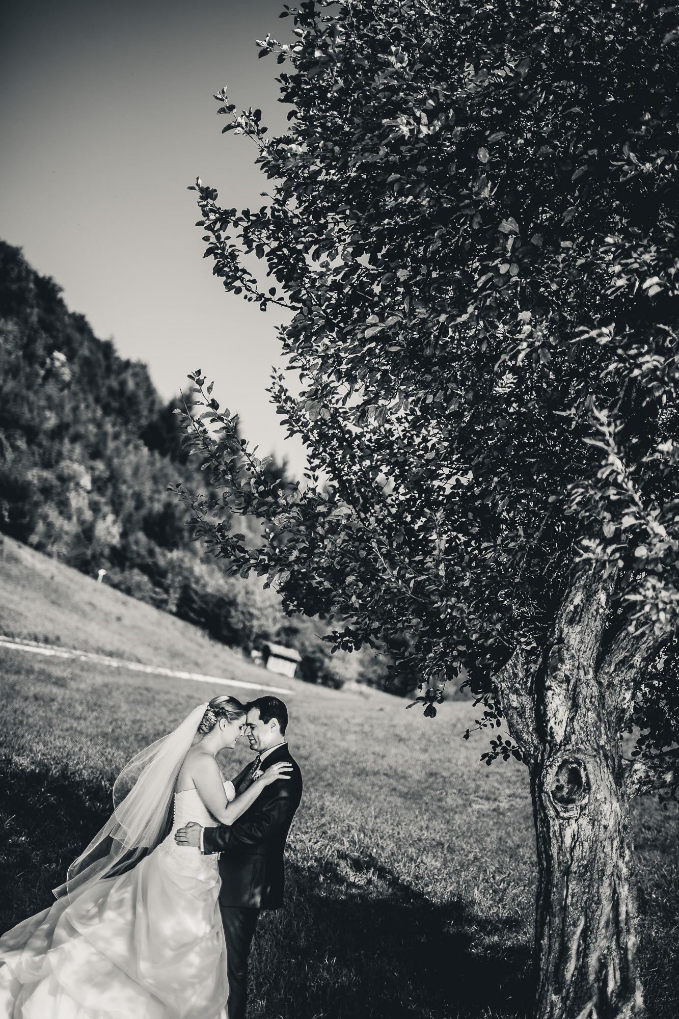 Export x3 1DX29297 WEDDING