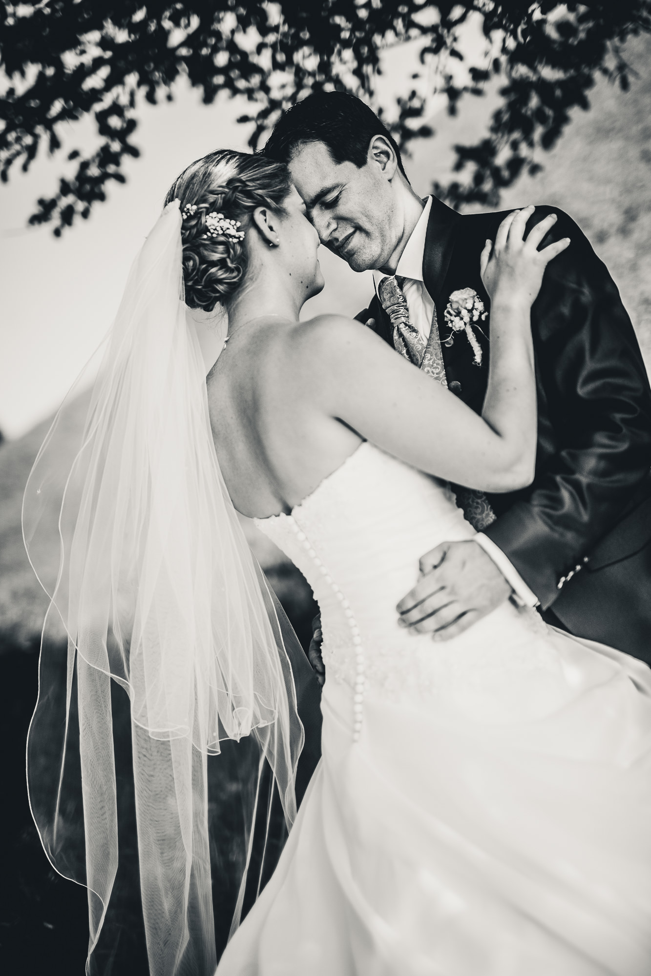 Export x3 1DX29303 WEDDING