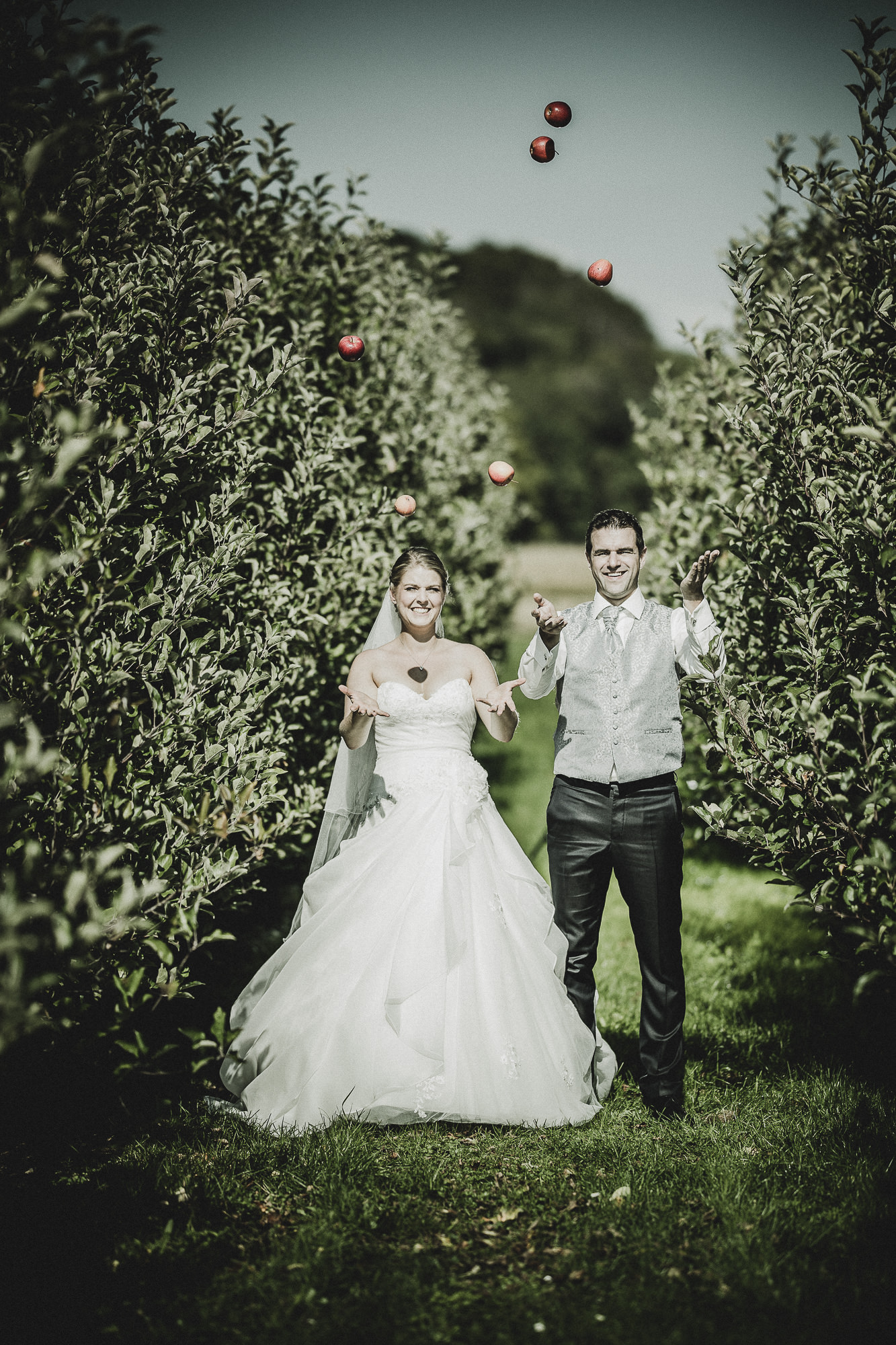 Export x3 1DX29433 WEDDING