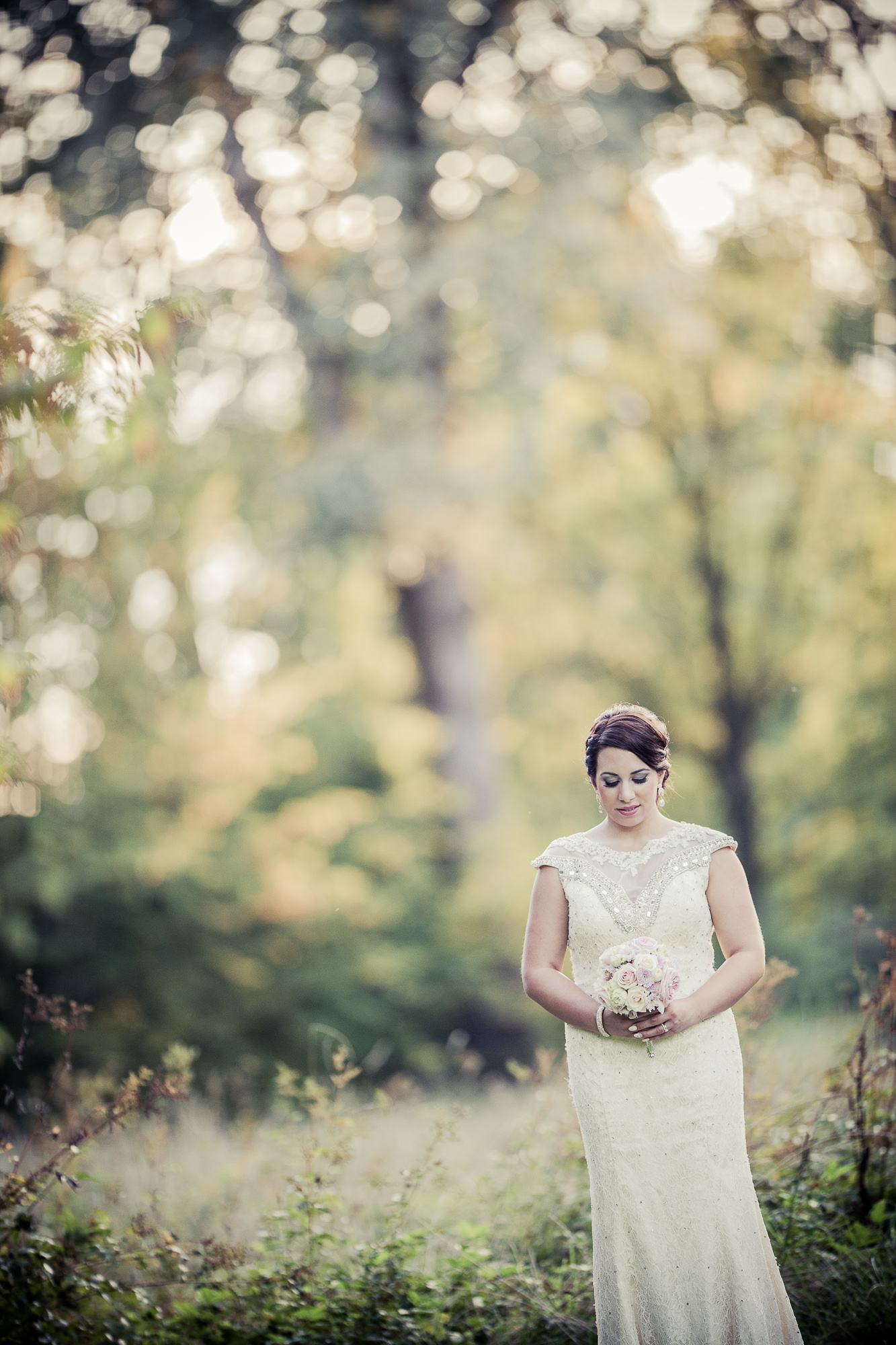 Export x3 1DX 7104 Bearbeitet  accepted pictures