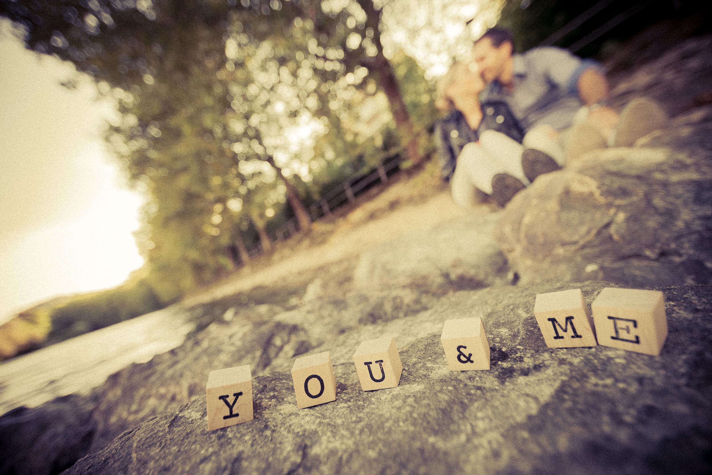 Export medium 6258 2